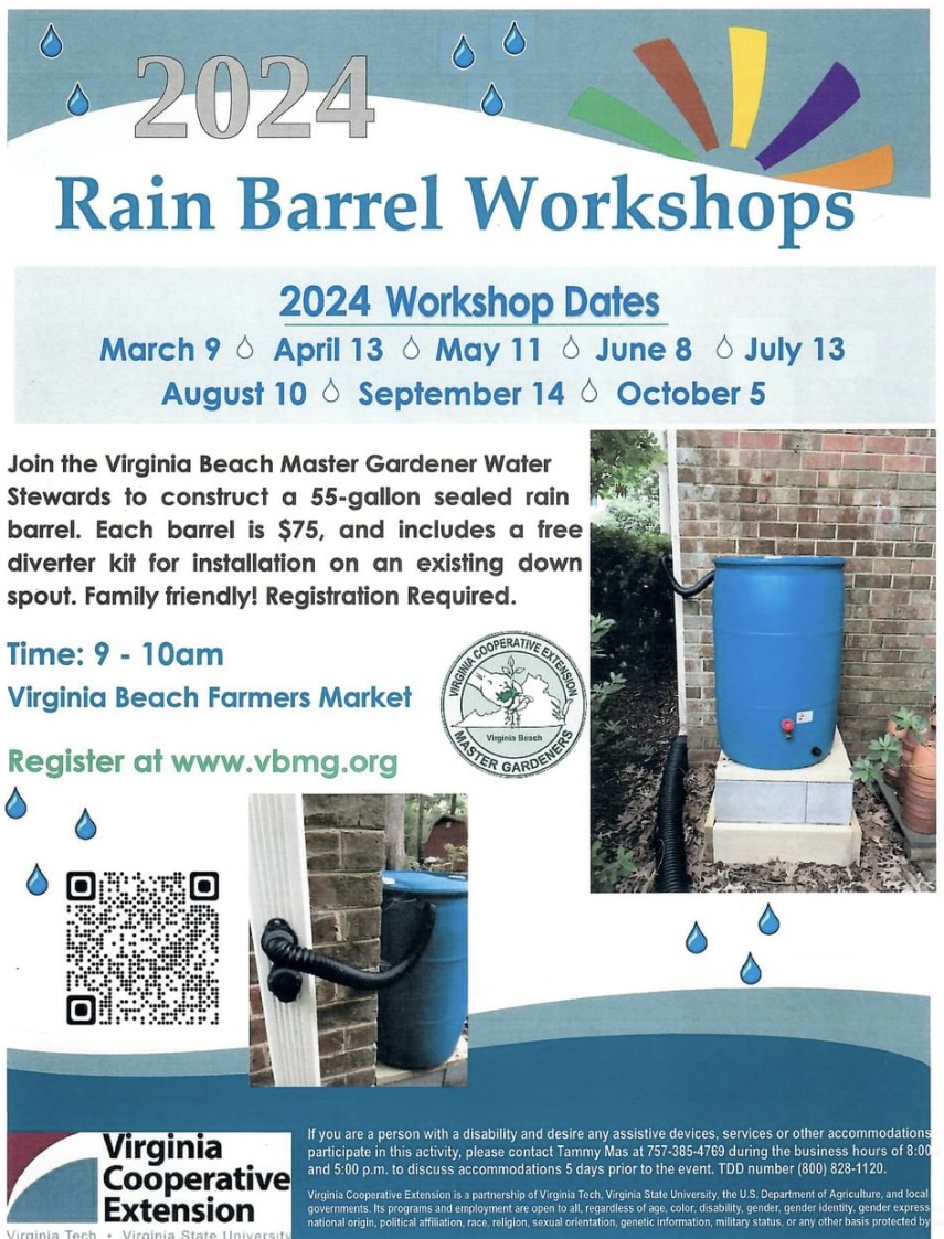 Why use a rain barrel? It captures rain water from the roof for use on lawns and gardens and reduces the amount of runoff that flows from your property. There are still openings for our June 8th workshop! Go to: vbmg.org to register. #RainBarrel #GardeningX