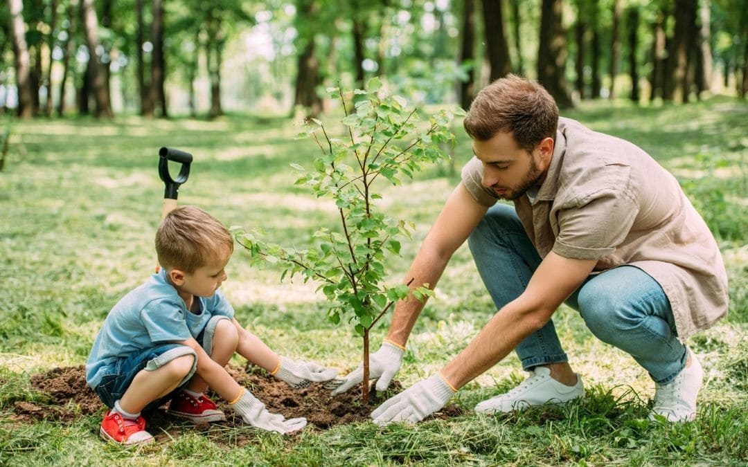 Día Internacional de la Fascinación por las Plantas, con la finalidad de destacar el papel fundamental de investigación de las plantas en la conservación del ambiente y los beneficios que brindan a los seres vivos.
#UnaSolaTierra
#Generación 
#LatirAvileño 
#5deJunio