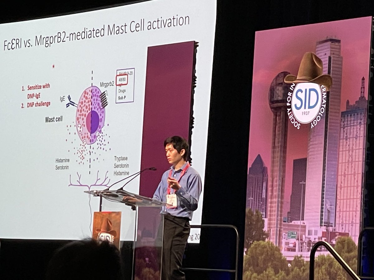 Andrew Liu MSTP student in lab gave a fantastic plenary presentation about how scratching causes rash and evolutionary benefit of scratching at 2024 SID in Dallas. #sid2024