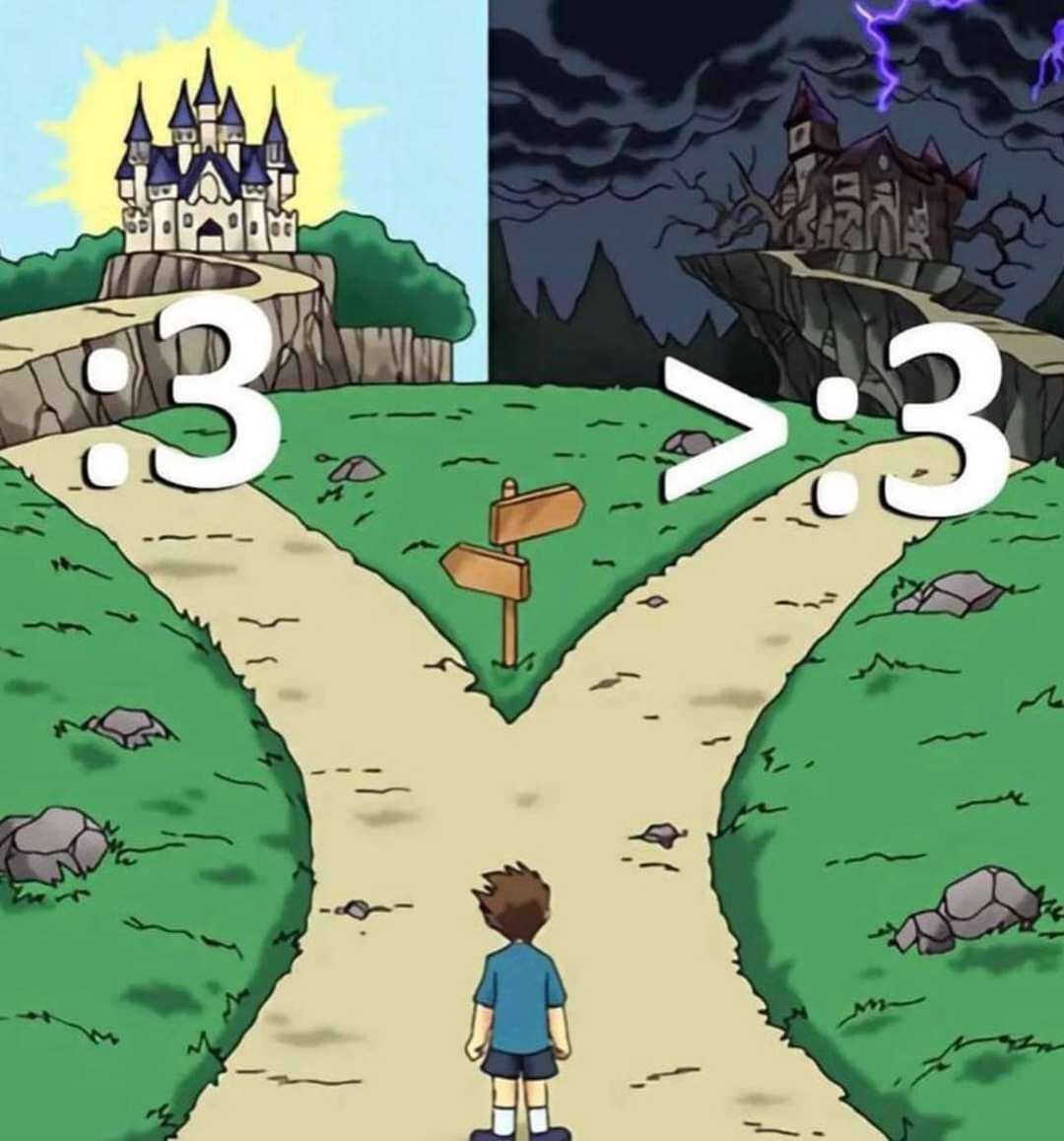 which path do you choose?