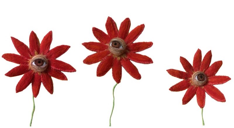 Get yourself a garden that'll last forever with Emily Krueckl's eyeball flowers! Seven different combinations of flowers and eyes to choose from, including these popping red and browns! #localart #artgallery #artcollector #needlefelting #eyeballs #flowers #halifaxart #halifaxns