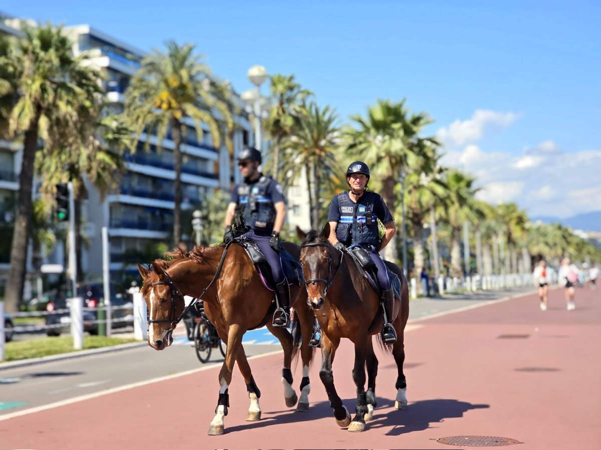 Ils sont beaux 😍 #PromenadeDesAnglais #chevaux #police #Nice06 #NiceCotedAzur #FrenchRiviera #CotedAzurFrance @PMdeNice