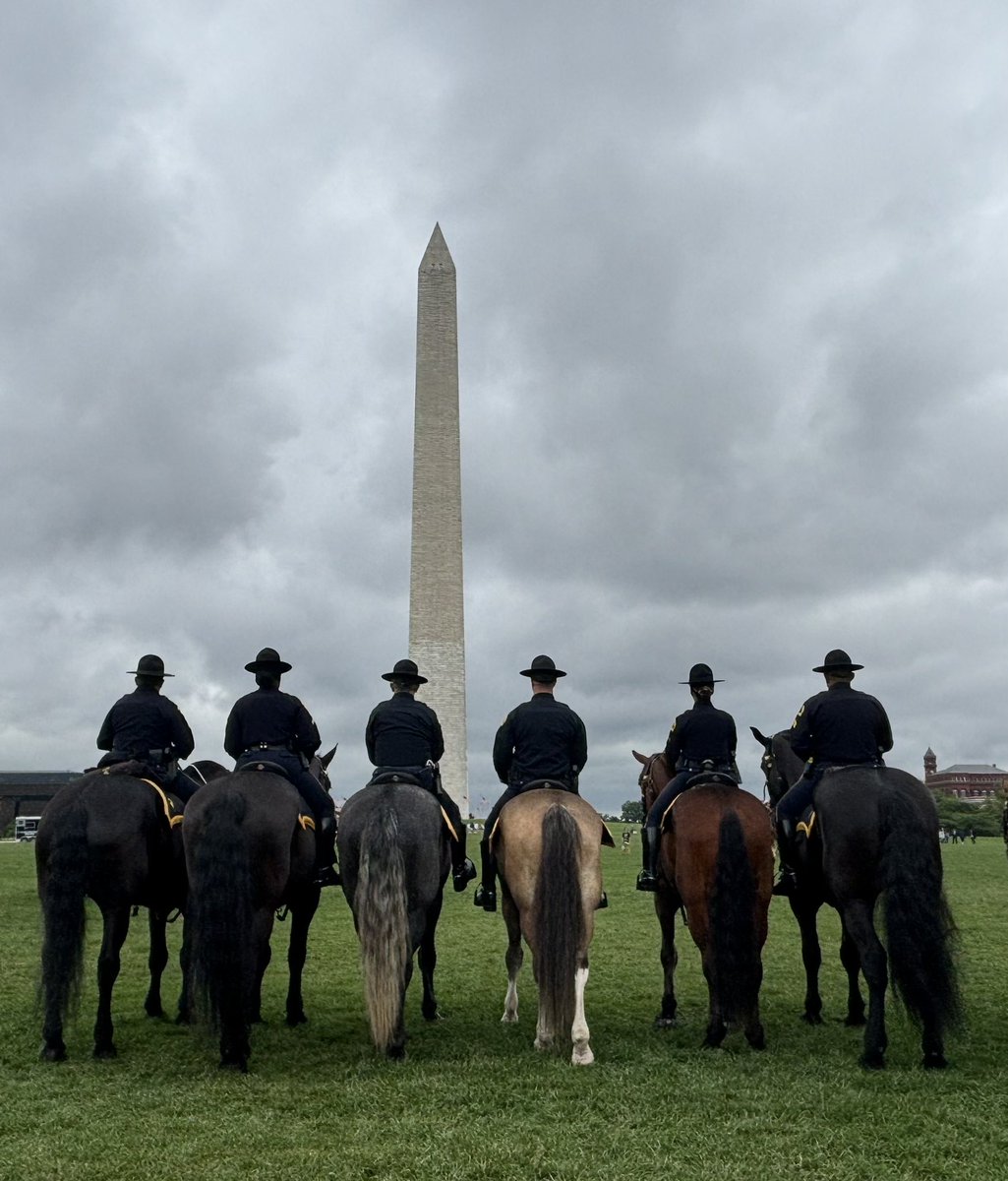Dallas PD Tactical Support tweet media