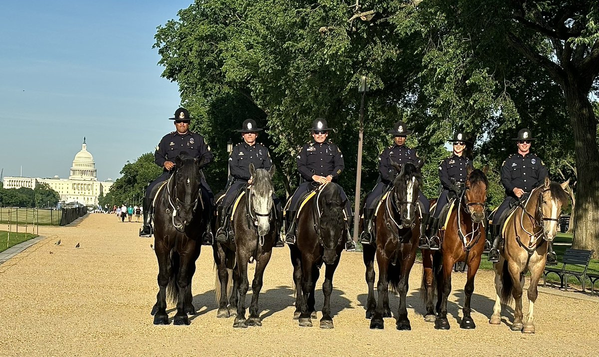 Dallas PD Tactical Support tweet media