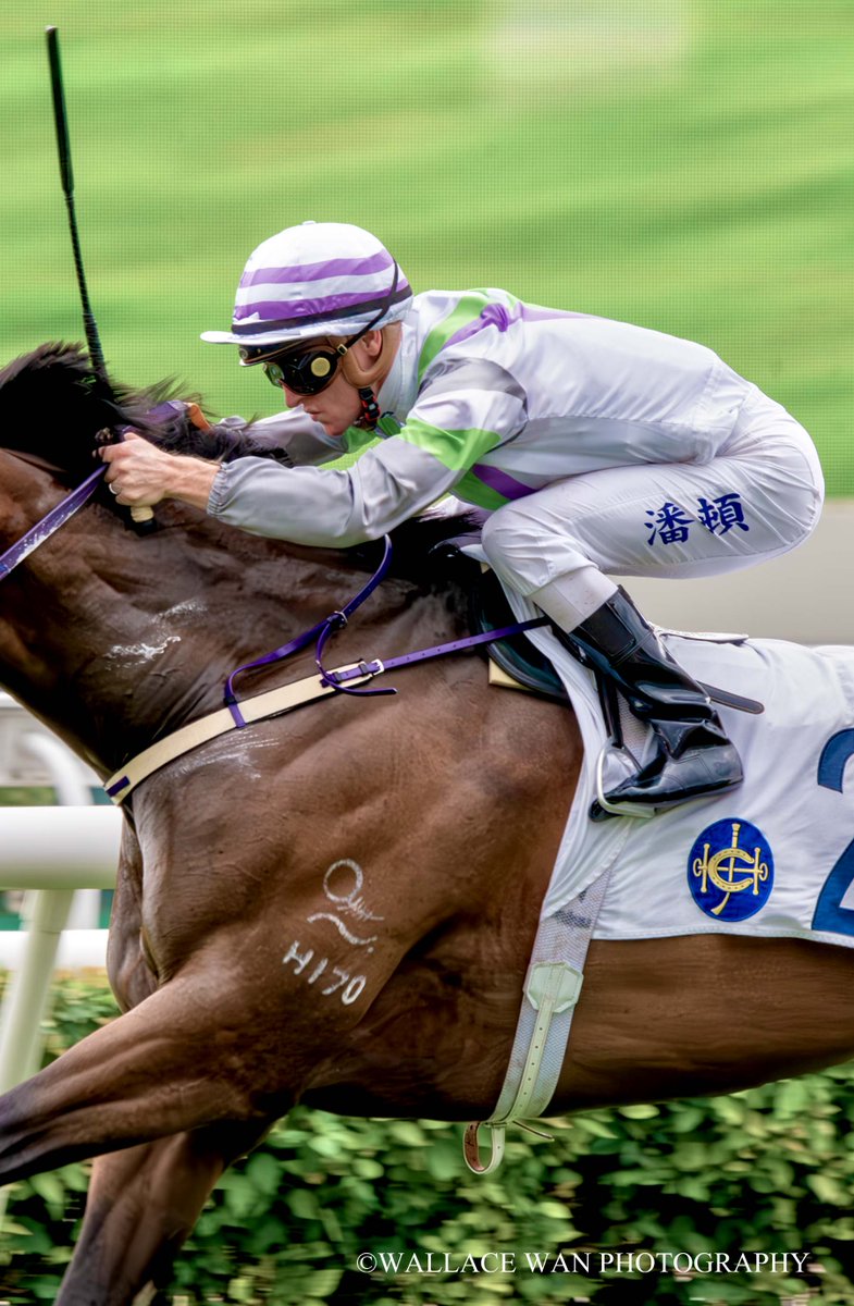 Zac Purton
@zpurton 
#superjockey #Horse #hkracing #hkphotographer #art #horsephoto #調教師 #horseracing #jockeys #騎手 #競馬場 #shatinracecourse #HorseRacing