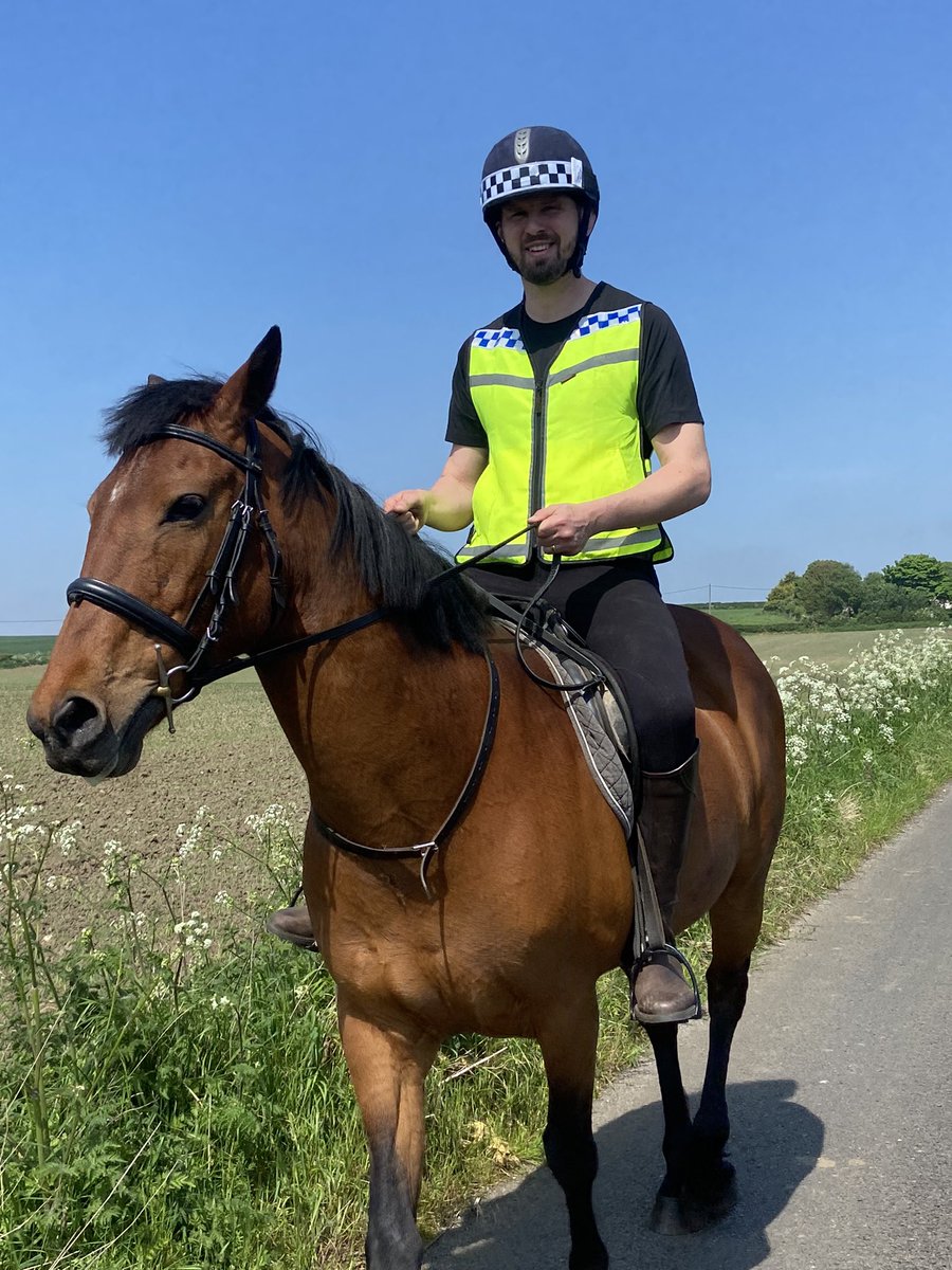 Ludicrous price of diesel forcing some new transport decisions…