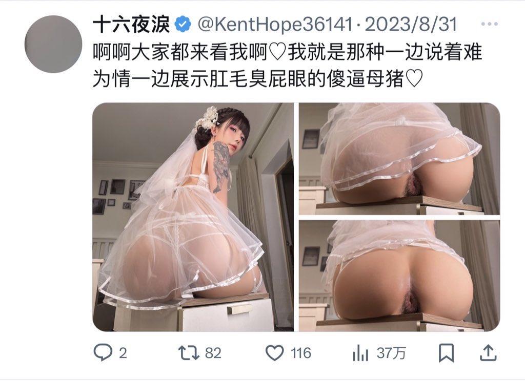 xiaohong127's tweet photo. @izayoiRui 傻逼肛毛母猪 https://t.co/dJyXK0rwnZ