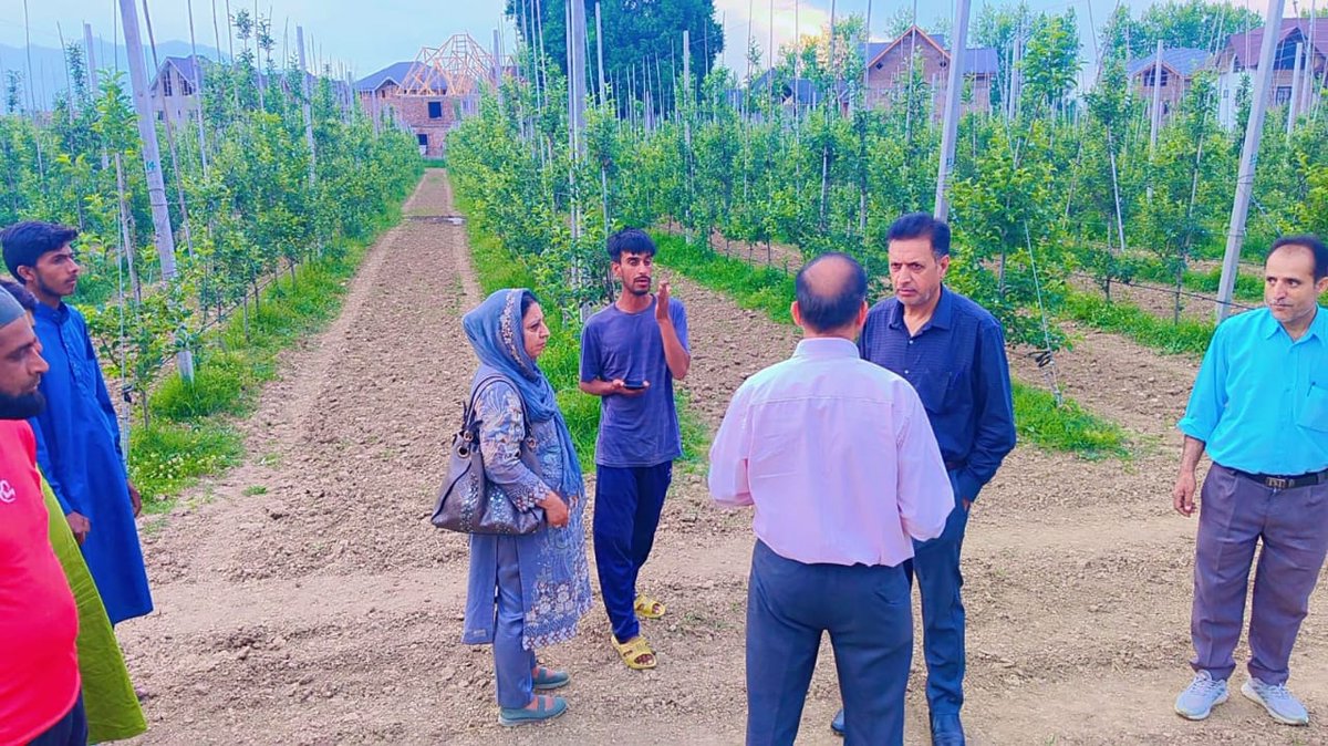 Director Horticulture Kashmir Mr Z A Bhat visited a private High density apple orchard stretched over an area of 100 kanals at Zakura in District Srinagar. @ZABhat7 @diprjk @KashmirScan @ZiraatTimes @GreaterKashmir @KNSKashmir