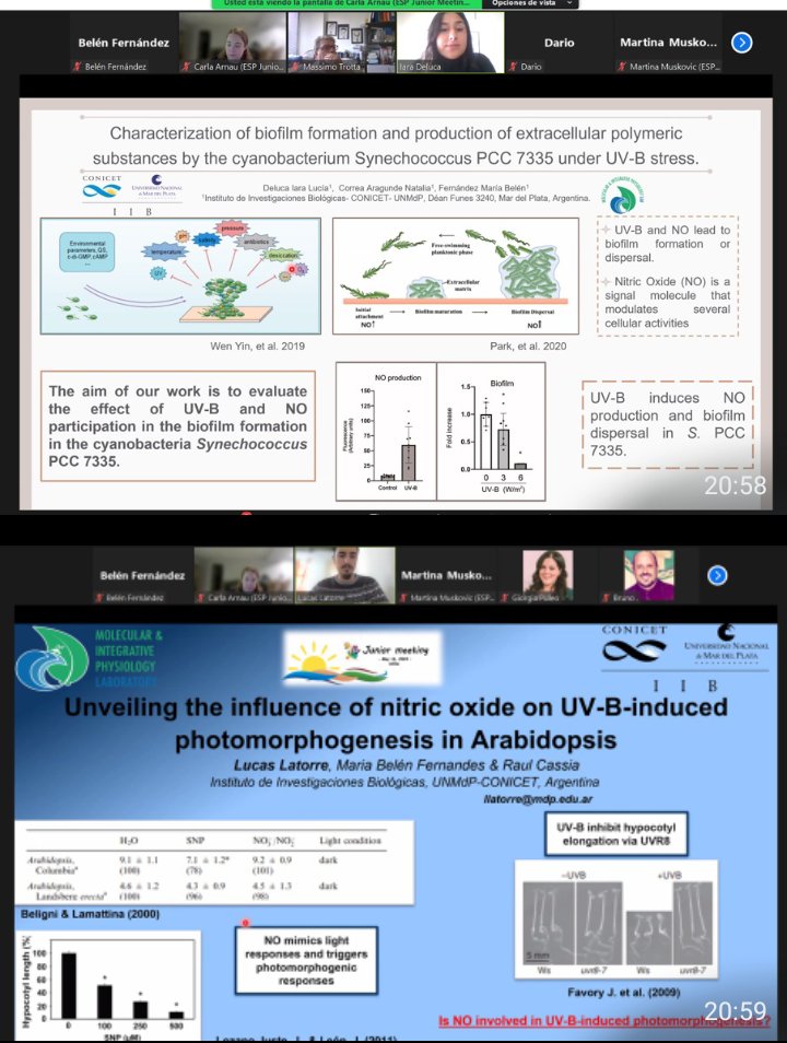 Members of our laboratory shared they results in the First meeting of young investigators in photobiology organized by the European society of photobiologists! Felicitaciones a <a href="/lucas_leolat/">Lucas 🌱🧪</a> , Iara Deluca y <a href="/mbfernan2021/">Belen</a> !