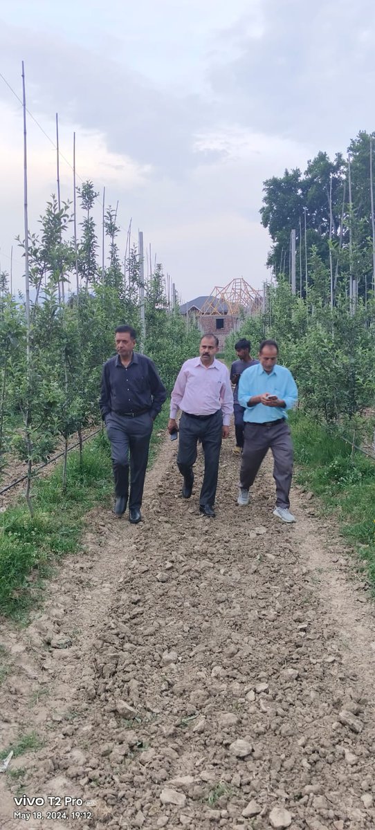 Director Horticulture Kashmir Mr Z A Bhat visited a private High density apple orchard stretched over an area of 100 kanals at Zakura in District Srinagar. @ZABhat7 @diprjk @KashmirScan @ZiraatTimes @GreaterKashmir @KNSKashmir