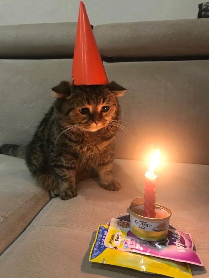 its my birthday!! 🥺