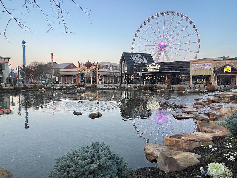 ekelly414's tweet photo. My friend, Andrea, is a finalist in Margaritaville Hotels and Resorts’ Story Contest. Help me rally votes: https://t.co/wy5SQ1OUyK @Margaritaville https://t.co/WiKkeElAT3