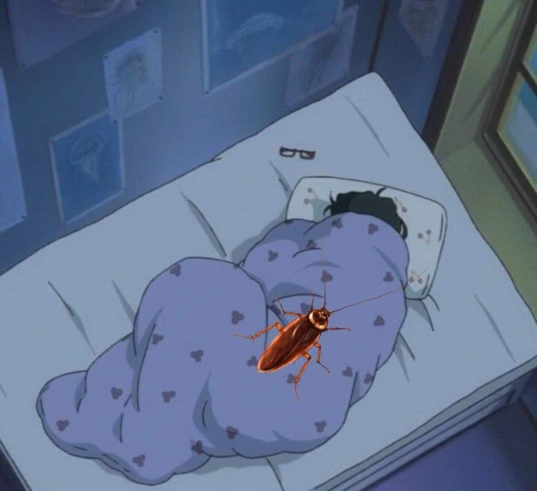 Pdelangel_'s tweet photo. Cuando uno está bien Agusto dormido y derrapente te sale una cuca 😂😂😂👏🏽 https://t.co/5A0TCqDwhF