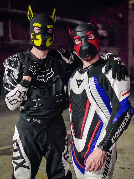 Found a sport biker pup to go for walkies with. @zenithdadoggo https://t.co/Fh5wDfTmOz<a href="/tag/instincts"class="tags"><span>#instincts</span></a>
