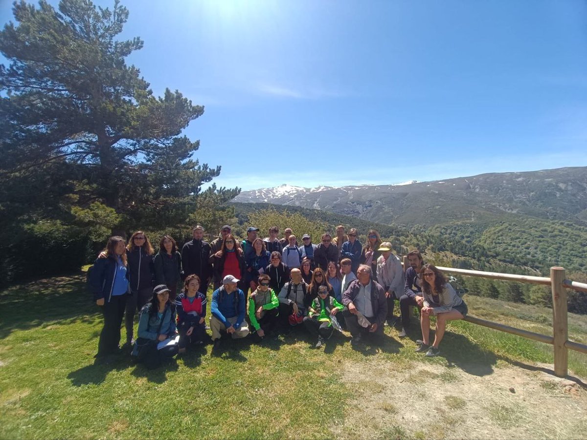 Biomaratón de Flora Española tweet media