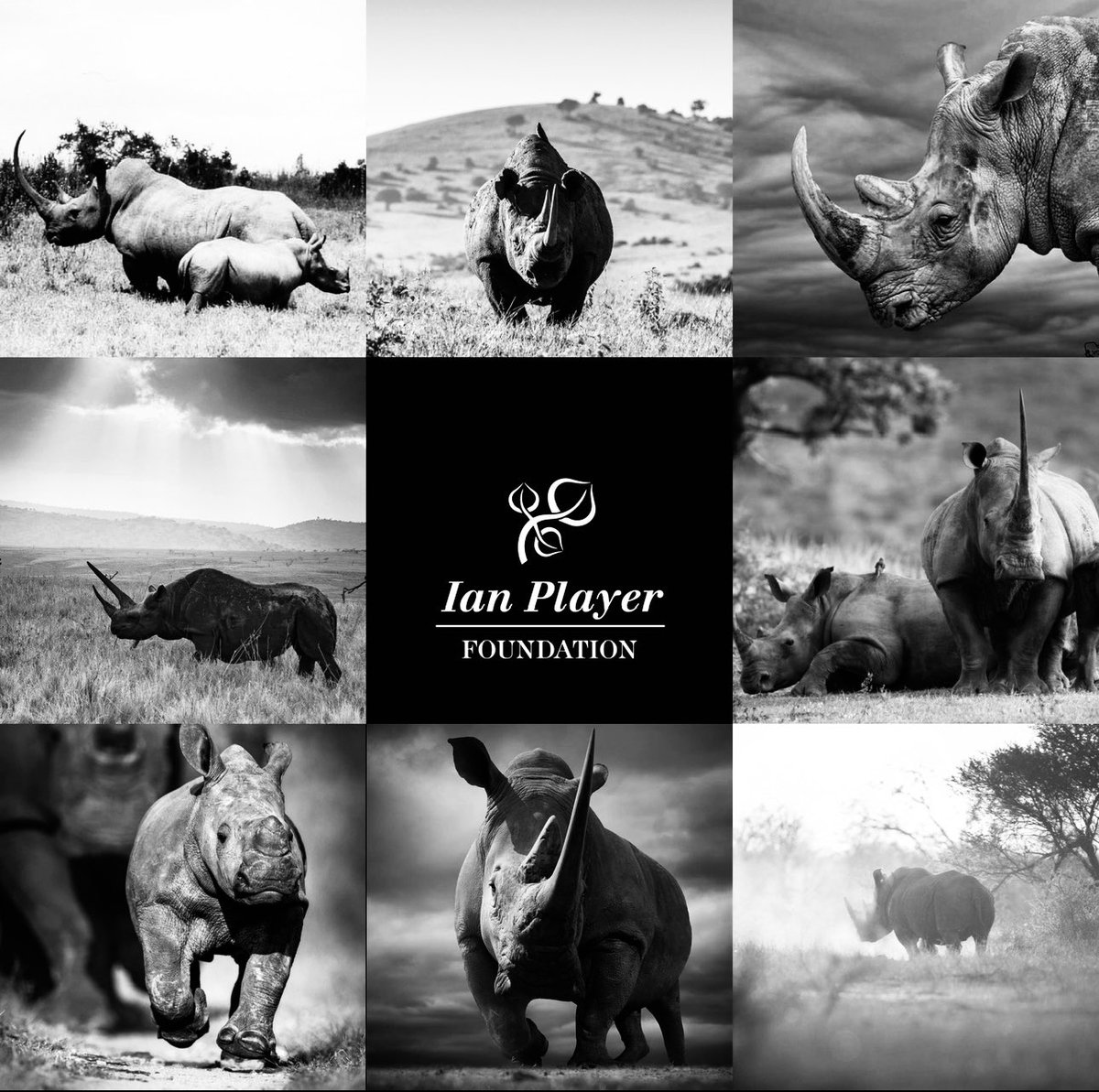 IanCPlayer's tweet image. The World of the late Dr. Ian Player #rhino #conservation #environment #player #ianplayer #ianplayerfoundation