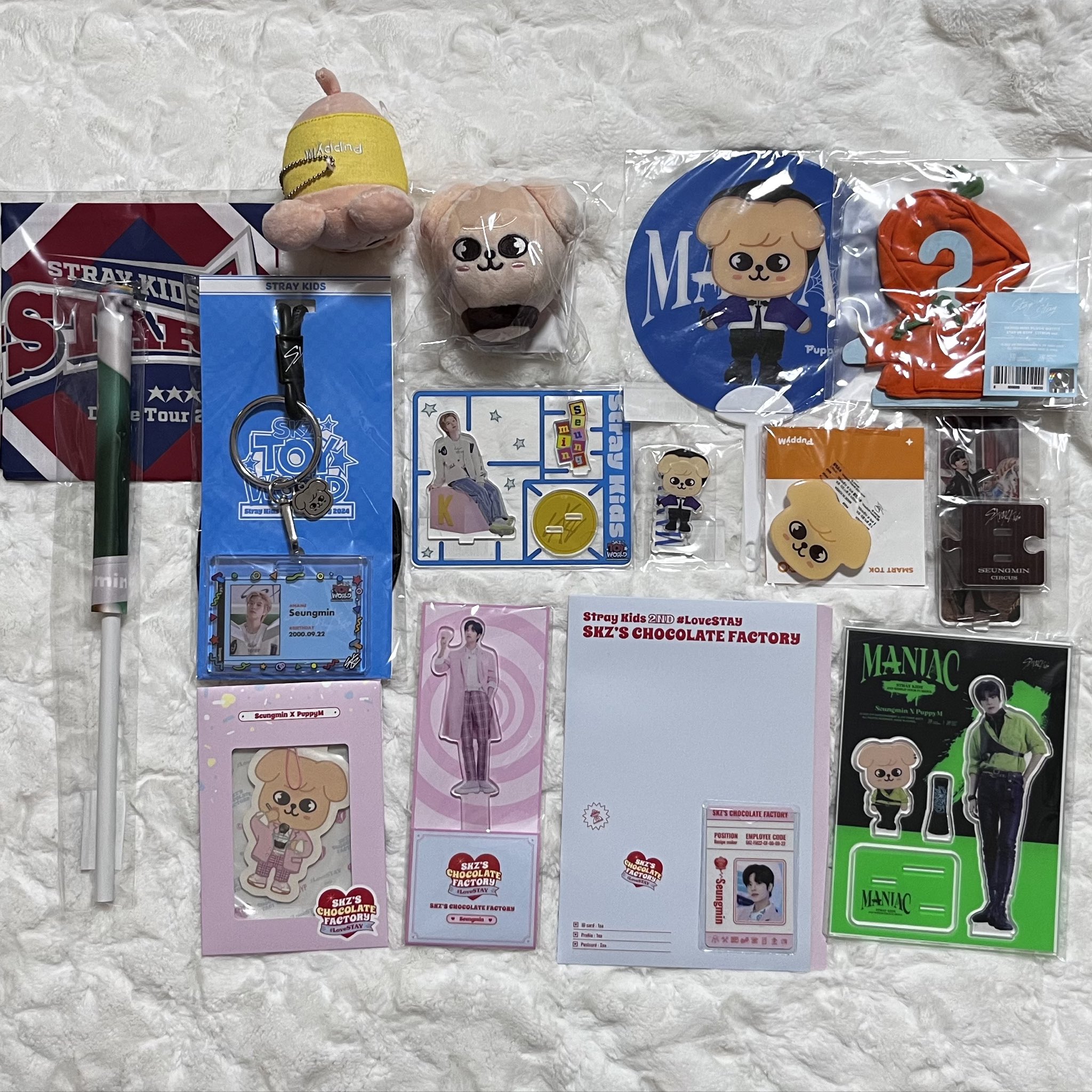 straykids スンミンセット 4ページ分 Stray Kids グッズ (Seungmin