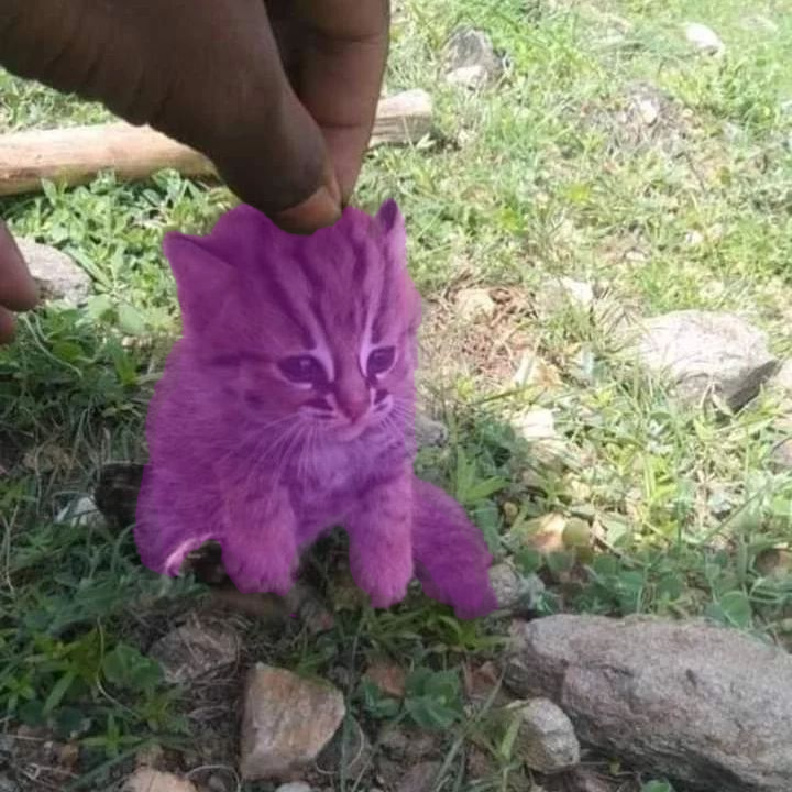 Abendlicher Leak 😼