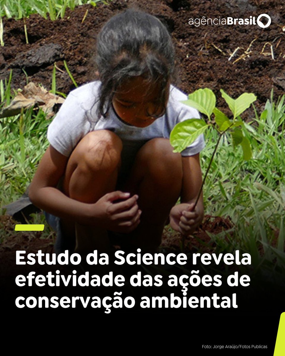 MEIO AMBIENTE | Iniciativas como criação de áreas protegidas, controle de espécies e restauração da vegetação nativa são eficientes para melhorar a biodiversidade ou desacelerar o desequilíbrio de ecossistemas. Saiba mais: ​trk.ebc.com.br/odMSZ