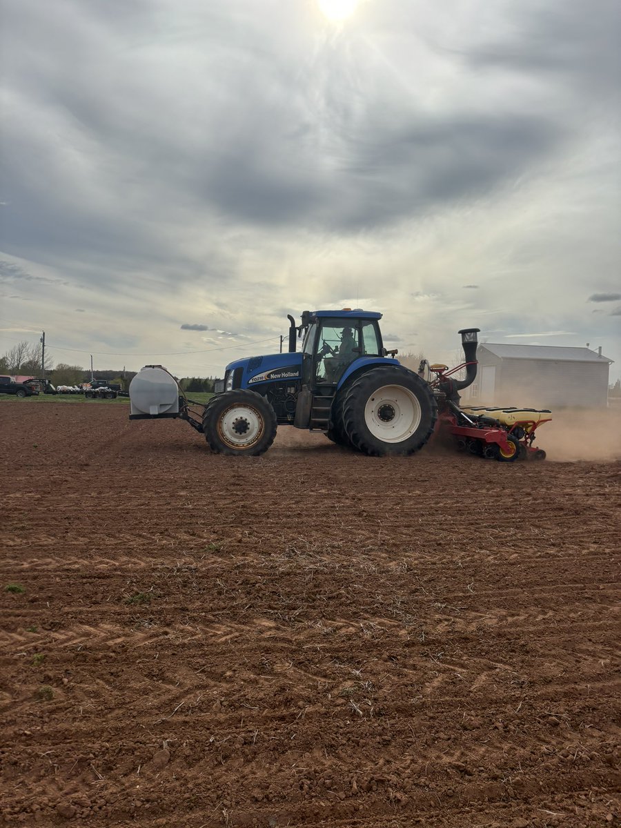 Steven Hamill tweet media