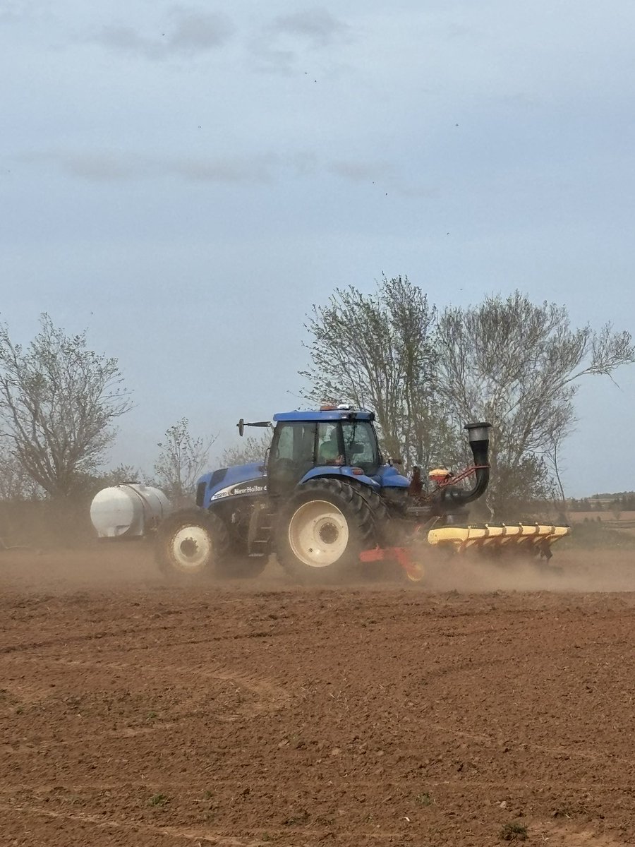 Steven Hamill tweet media