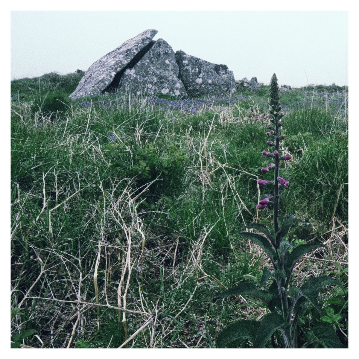 Zennor Quoit, Cornwall #dolmen #ancientsite #cornwall