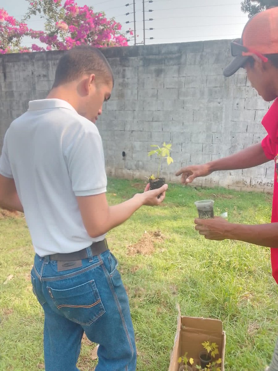 CDCE Ortiz tweet media