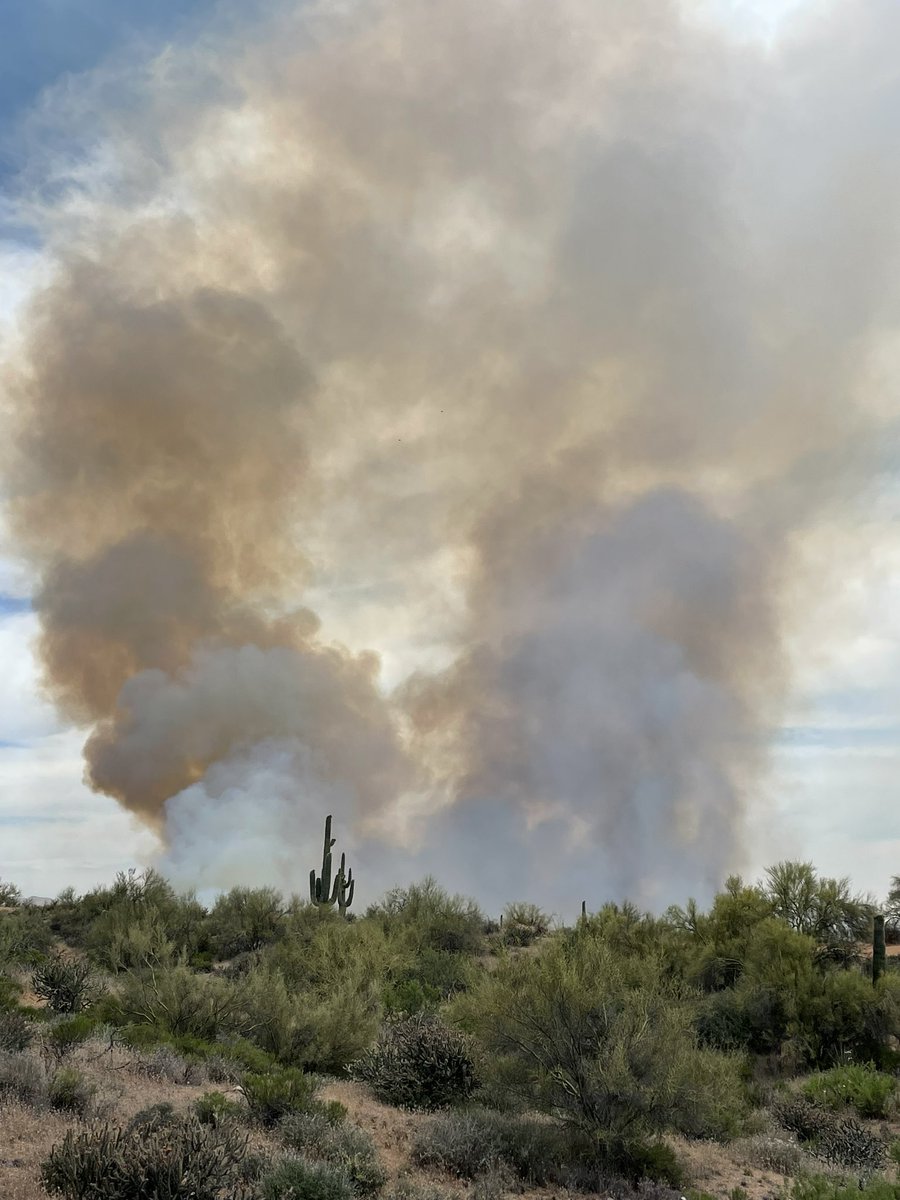 The #WildcatFire near Vista Verde north of Dynamite Blvd and 136th Street on the Cave Creek Ranger District is estimated to be 100 acres. Resources responding include two hotshot crews, three engines, air attack, air tanker, one helicopter and more resources have been ordered.