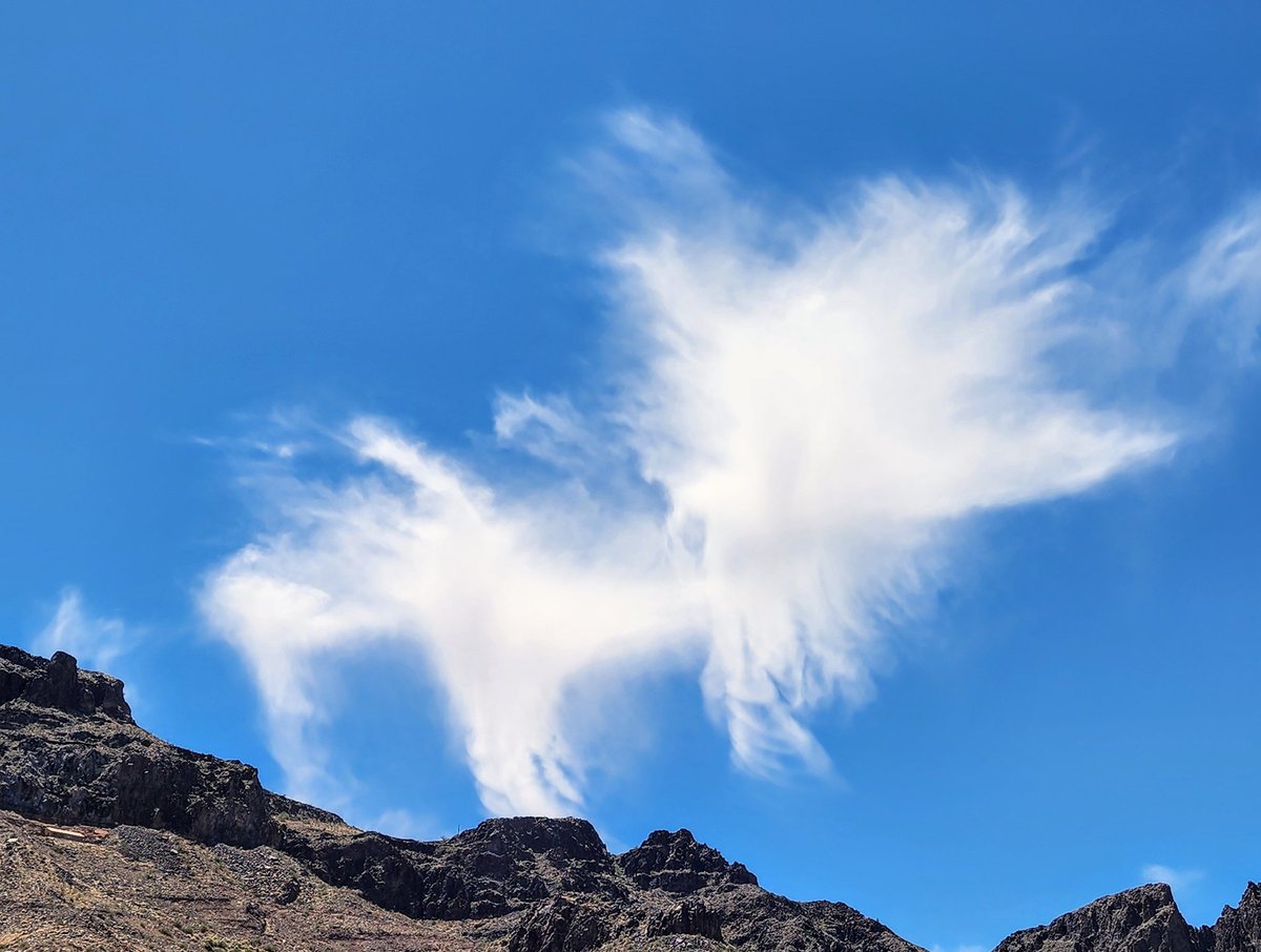 Of all the cirrocumulus, intortus fluffs, wannabe kelvin's I did ask for angels and I got two. What a blessing in Parker Arizona today. #LakeHavasu #ParkerAZ #azwx #cawx #nvwx #ColoradoRiver