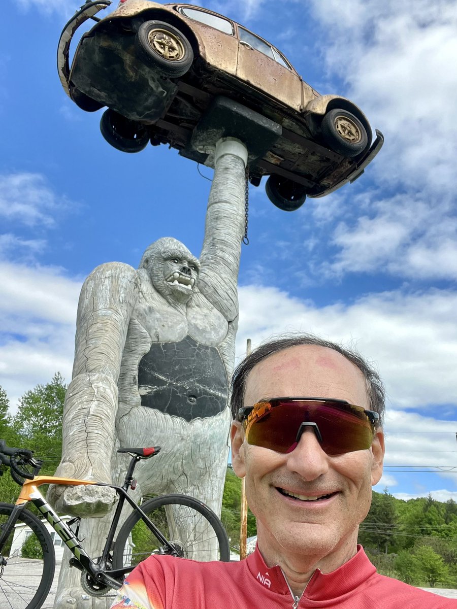 This is Connie, the Giant Gorilla. No, I did not name my powerful women named Connie in MIDWIVES and HOUR OF THE WITCH after her. But I think this wonderful strong woman has a cameo in one of my books! Passed her on today’s ride from my home to Brandon, VT.