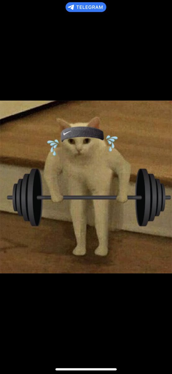 Dope_amine tweet media