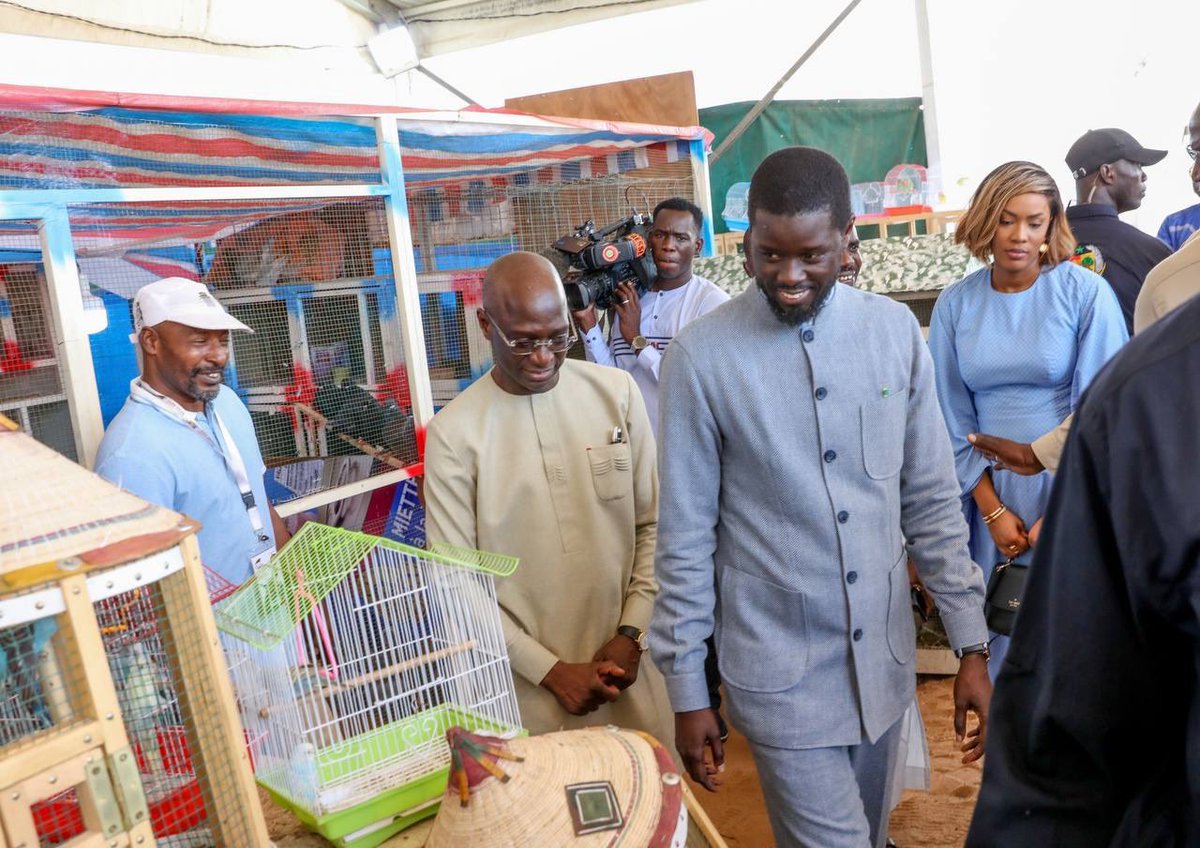 Après son déplacement à Popenguine, le Président de la République, @PR_Diomaye, a honoré de sa présence la 24e édition de la Foire internationale de l'agriculture et des ressources animales (FIARA) au Cices de Dakar pour échanger avec les acteurs.