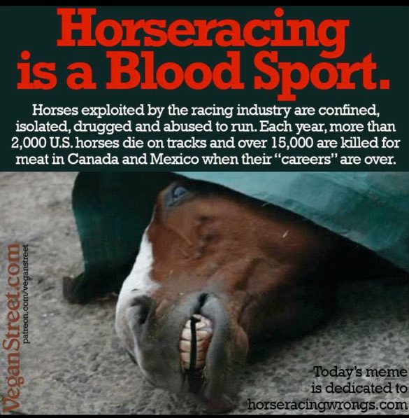 At the track, perched humans compel their charges to a breakneck speed w/ a whip. There is no choice, no free will, no autonomy for naturally autonomous beings. #EndHorseracing #HorseracingKillsHorses #Horseracing is #AnimalAbuse & #AnimalCruelty #Preakness149