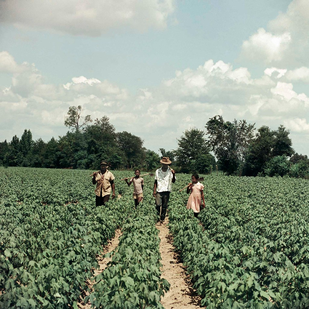 Untitled, Shady Grove, Alabama, 1956⁠ .⁠ .⁠ .⁠ #blackculture #blacklove #blackisbeautiful #socialjustice #freedom #endinjustice #speakup #speakout #blacklivesmatter #blm