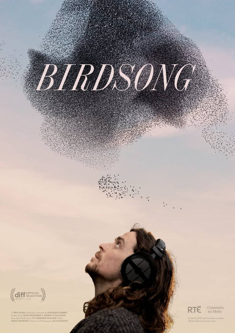 Birdsong documentary will be broadcast on RTÉ TV on 26th May irishtimes.com/culture/tv-rad…
