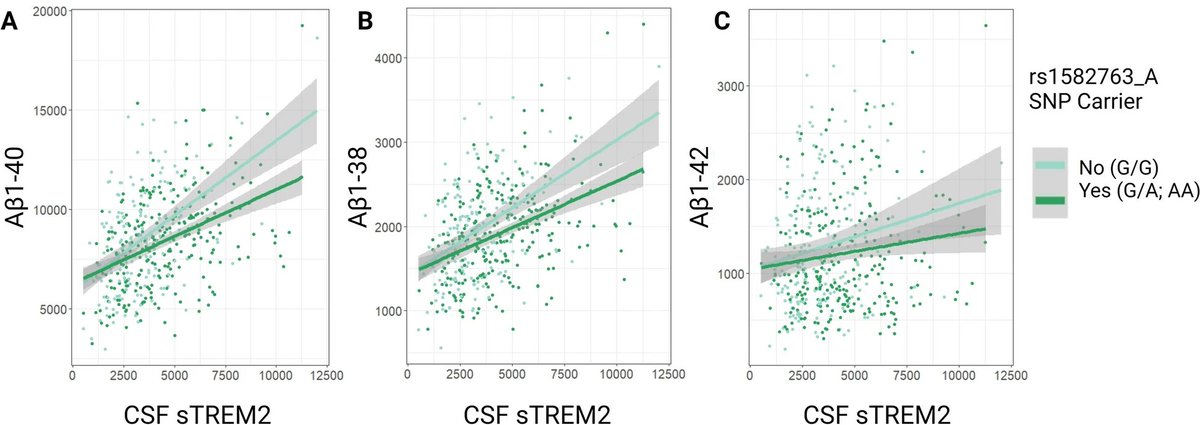 'Variants in the MS4A cluster interact with soluble #TREM2 expression on #biomarkers of #neuropathology'

<a href="/RebeccaWinfree6/">Rebecca Winfree</a> Emma Nolan, Logan Dumitrescu...Timothy J. Hohman @VanderbiltAlz <a href="/ADNI3study/">ADNI3</a> #AlzheimersDisease

bit.ly/3V2RNOe