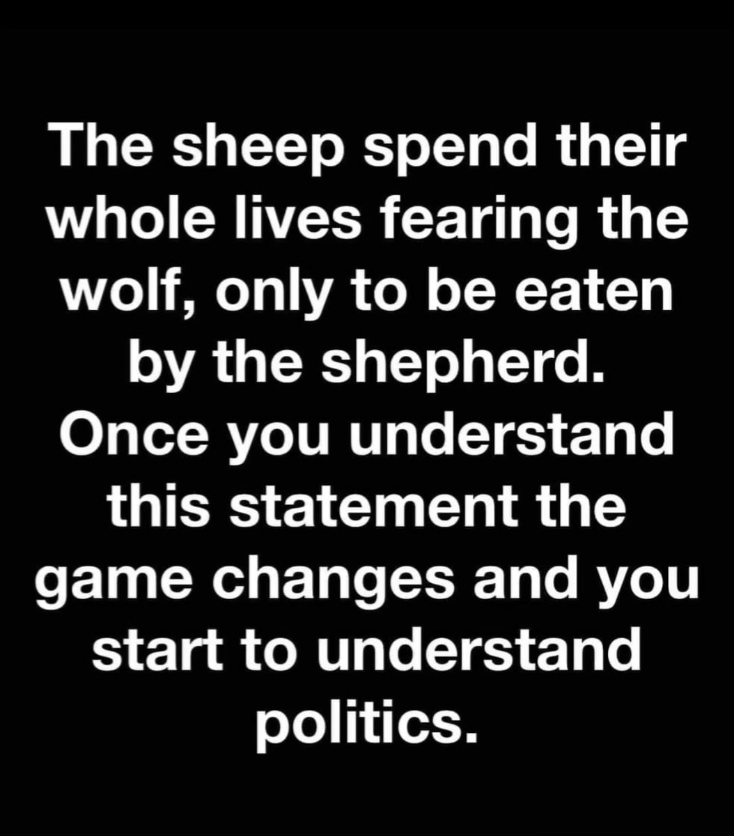 SantiagoAuFund's tweet image. Truth