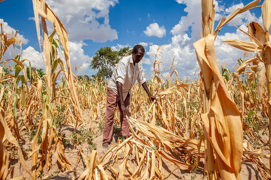 In Southern Africa, #ElNiño drought has left a trail of scorched harvests & hunger. As Malawi, Zambia & Zimbabwe declare national emergencies sparked by the natural weather phenomenon,people’s access to food has reduced as stocks dwindle & prices soar. ➡️tiny.cc/3f75yz