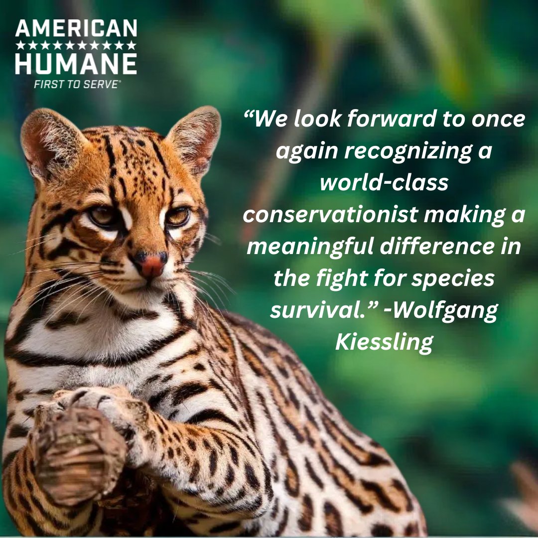 Attention conservationists! 🚨 There are two weeks left to apply for the Kiessling International Prize, which recognizes individuals making extraordinary contributions to the field of animal conservation. Submit your application by June 1st! bit.ly/3JxaVLK