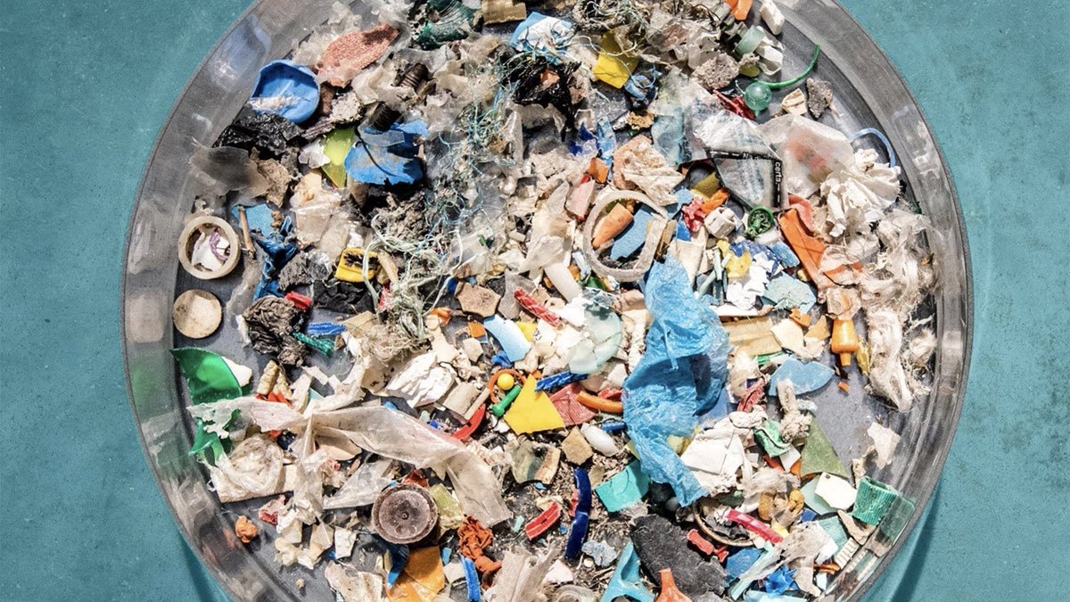 #Plastics are negatively affecting people and the environment at each stage of their lifecycles—extraction of #fossilfuel, production, use, and disposal.
The impacts are felt in a wide range of areas, including on #biodiversity, #climatechange, human #Health, and #HumanRights.