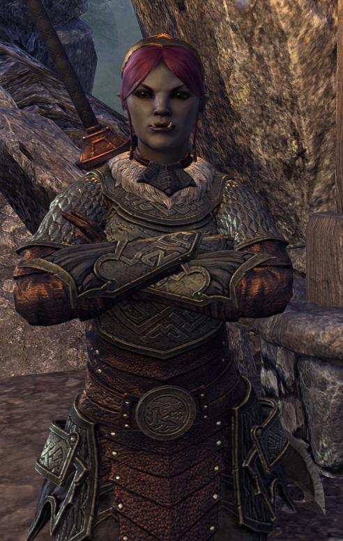 POV: You've approached Gelenna and now she's waiting for you to speak.

#ESOFam #ESO #ElderScrollsOnline #orc