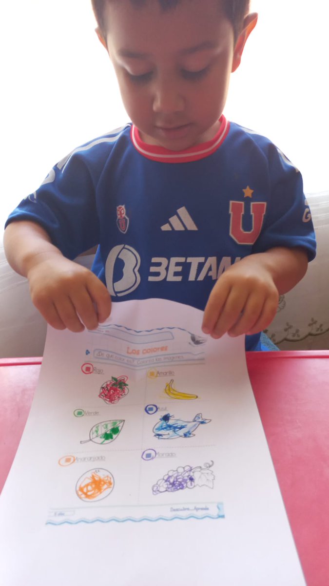 natiuzkmainolf's tweet photo. @jugabet Siempre hace todas sus tareas con su camiseta! El es muy fanático de la u y seria grandioso llevarlo a el clásico universitario ❤💙 https://t.co/M7rKS2YmGF