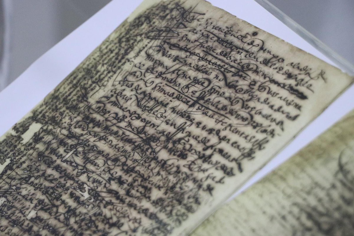 enelpaisdlpisco's tweet image. Archivo de La Nacion discovers the oldest document of #pisco 1583-1587

A
"Cristobal Martin Escacena, undertook to pay Enrique Figueroa, 300 jars of "aguapie" for the first harvest of 1584, which would be delivered at the foot of the winepress..." 
enelpaisdelpisco.blogspot.com/2024/05/archiv…
#peru