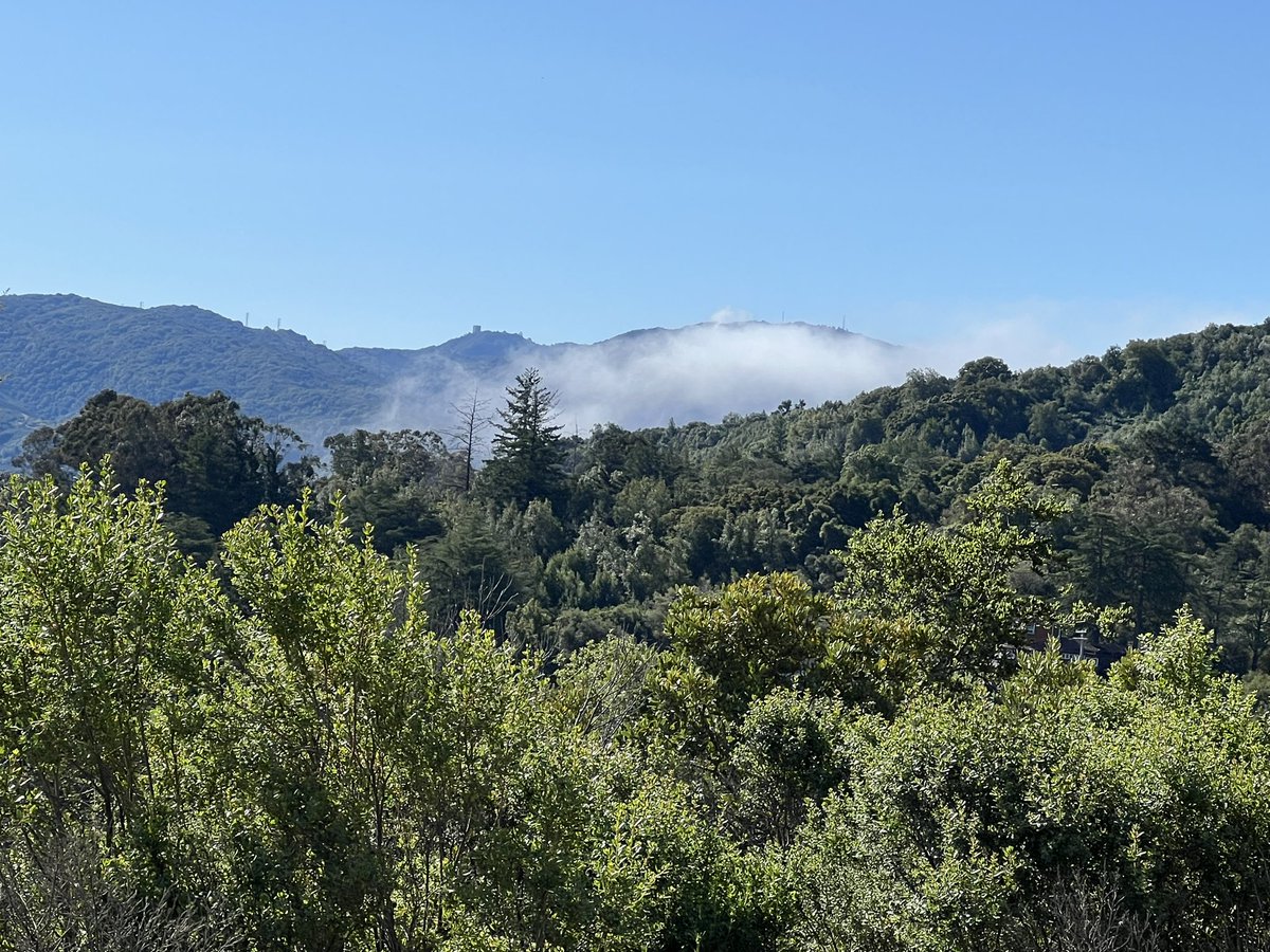 Joseph DeSimone tweet media