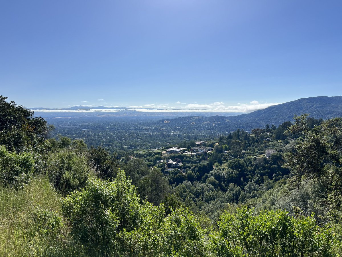 Joseph DeSimone tweet media