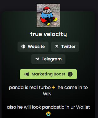 Turbocto's tweet photo. Boost $TURBO ⚡ https://t.co/HVIqAt1R0d