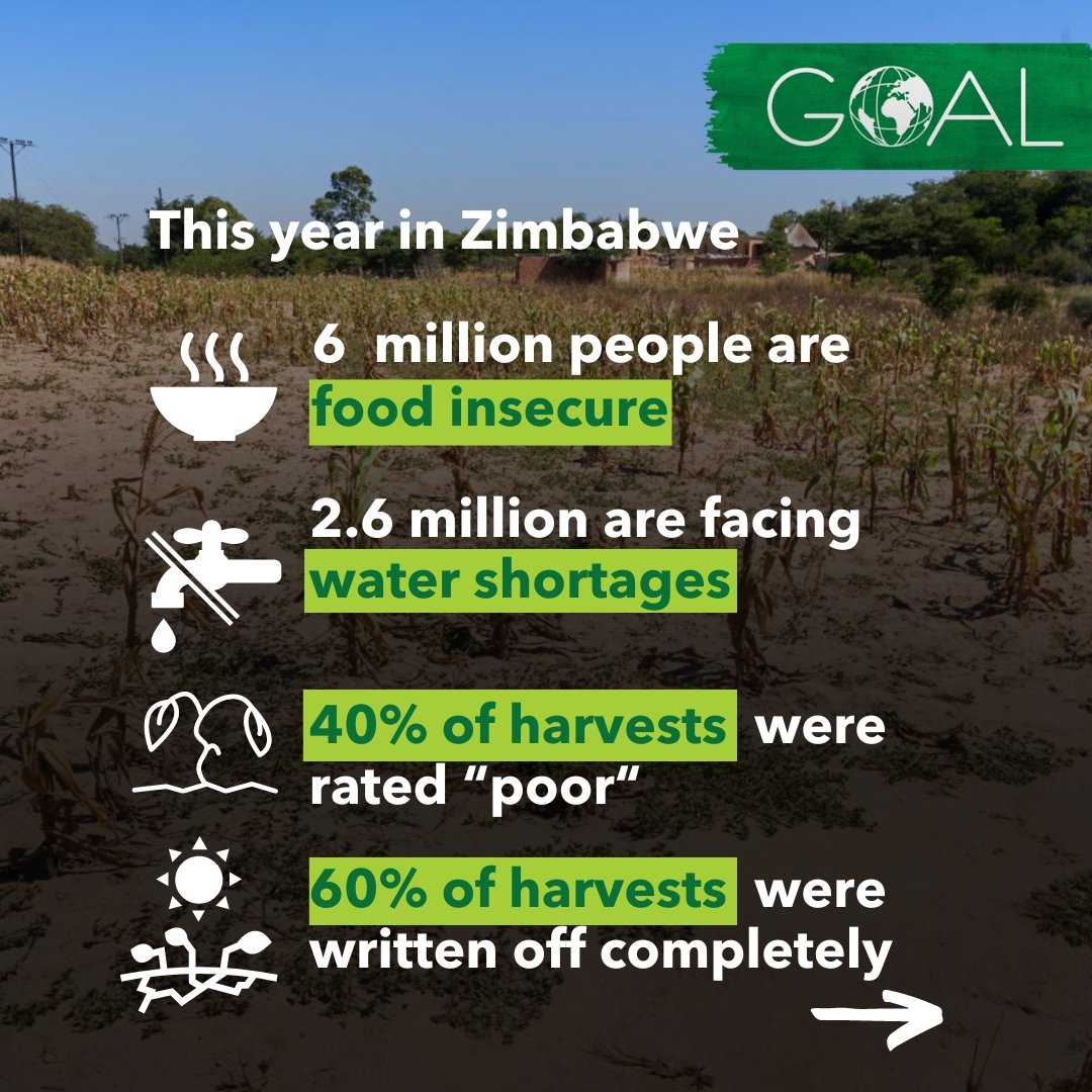 As Zimbabwe battles with #ElNiño, bringing record heat & drought, the impact on electricity & food supply is devastating. #ClimateChange worsens droughts, posing a grave threat to farmers & communities. Learn more ➡️ hubs.la/Q02xzjcX0