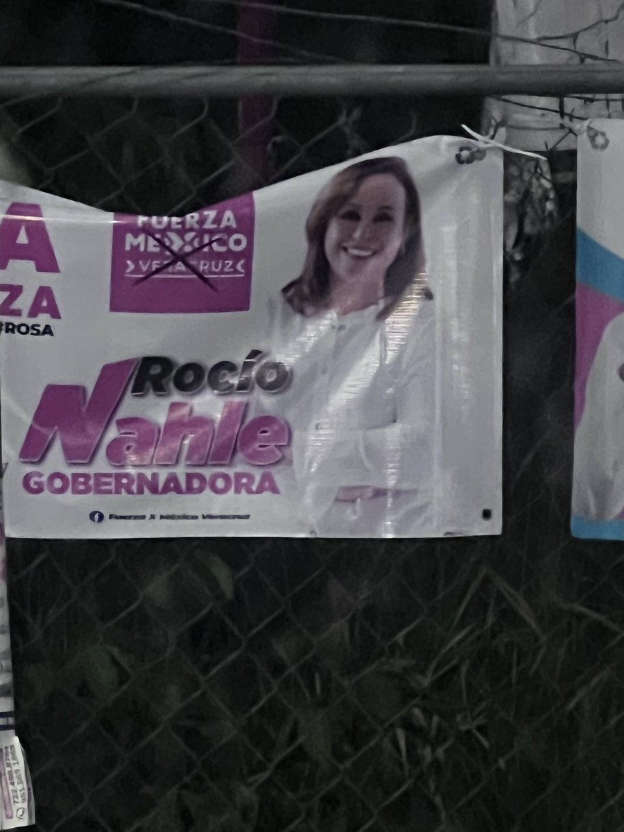 Díganle a Sergio Gutiérrez que su candidata, doña Chío, también usa el rosa en su campaña porque trae el logo de Fuerza por México. C.c.p. la seño Tadei
