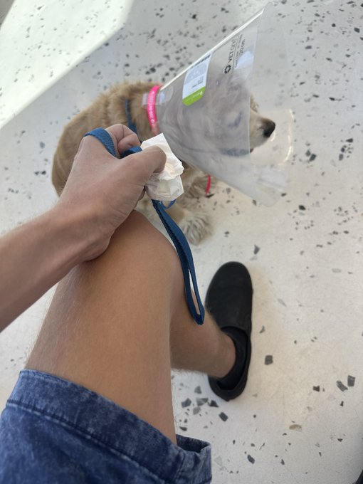 so many complications after her surgery ☹️ nothing could have prepared us for the last month, please<a href="/tag/gayvnawards"class="tags"><span>#gayvnawards</span></a>