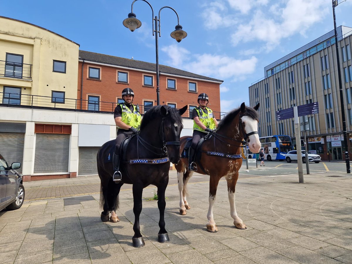 Owen, Beau and our officers have been patrolling Liverpool City Centre this afternoon and stop for a picture on London Road. 
#StandTall #PHOwen #PHBeau #MountedPatrols